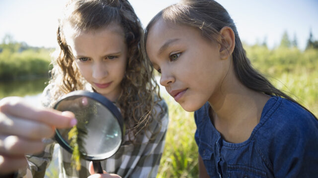 3 Science CER Activities With Real-World Data | Middle & High School
