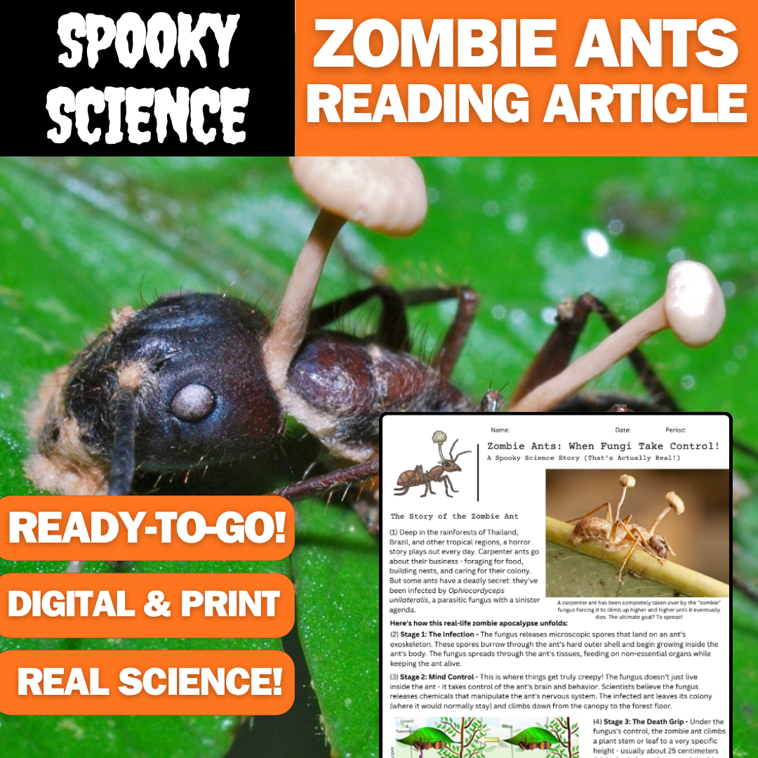 Zombie Ants Reading Article - Spooky Everyday Science - Perfect for Halloween!
