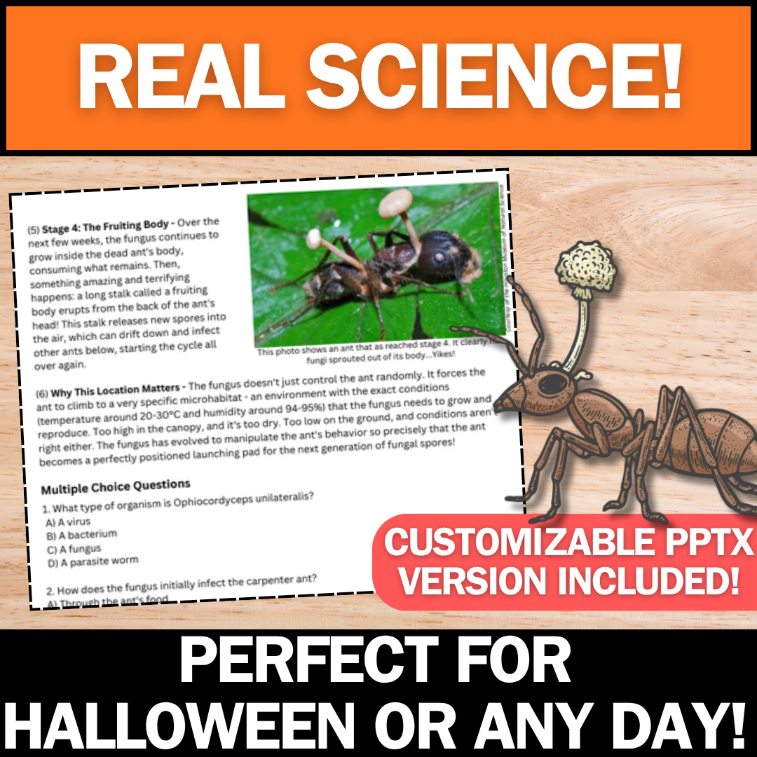 Zombie Ants Reading Article - Spooky Everyday Science - Perfect for Halloween!