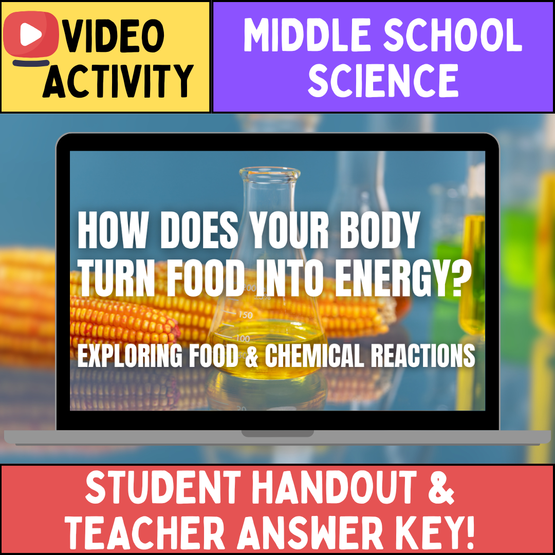 Food and Chemical Reactions - FREE Video Worksheet - Middle School Science