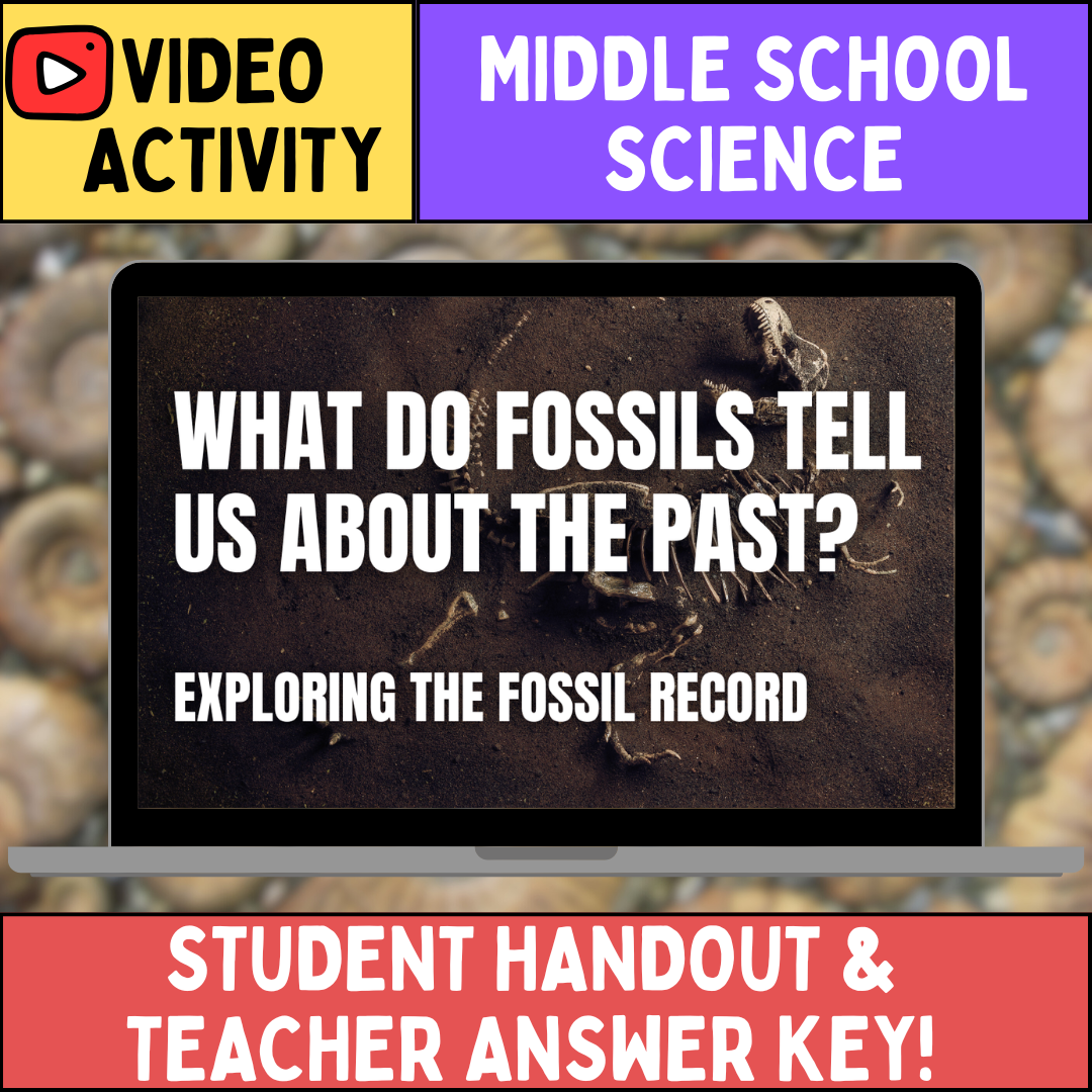 Fossils & the Fossil Record - FREE Video Worksheet - Middle School Science
