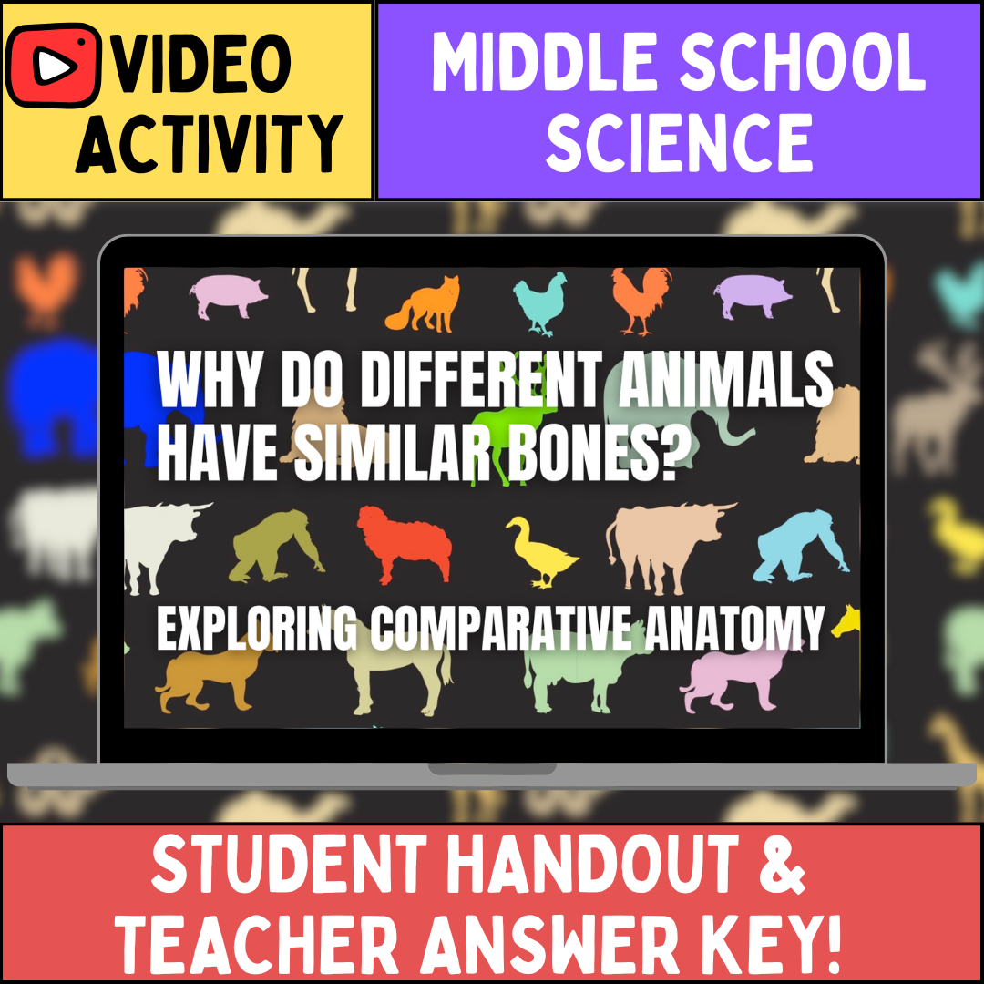 Comparative Anatomy: Reading the Evidence for Common Ancestry | Middle School Science