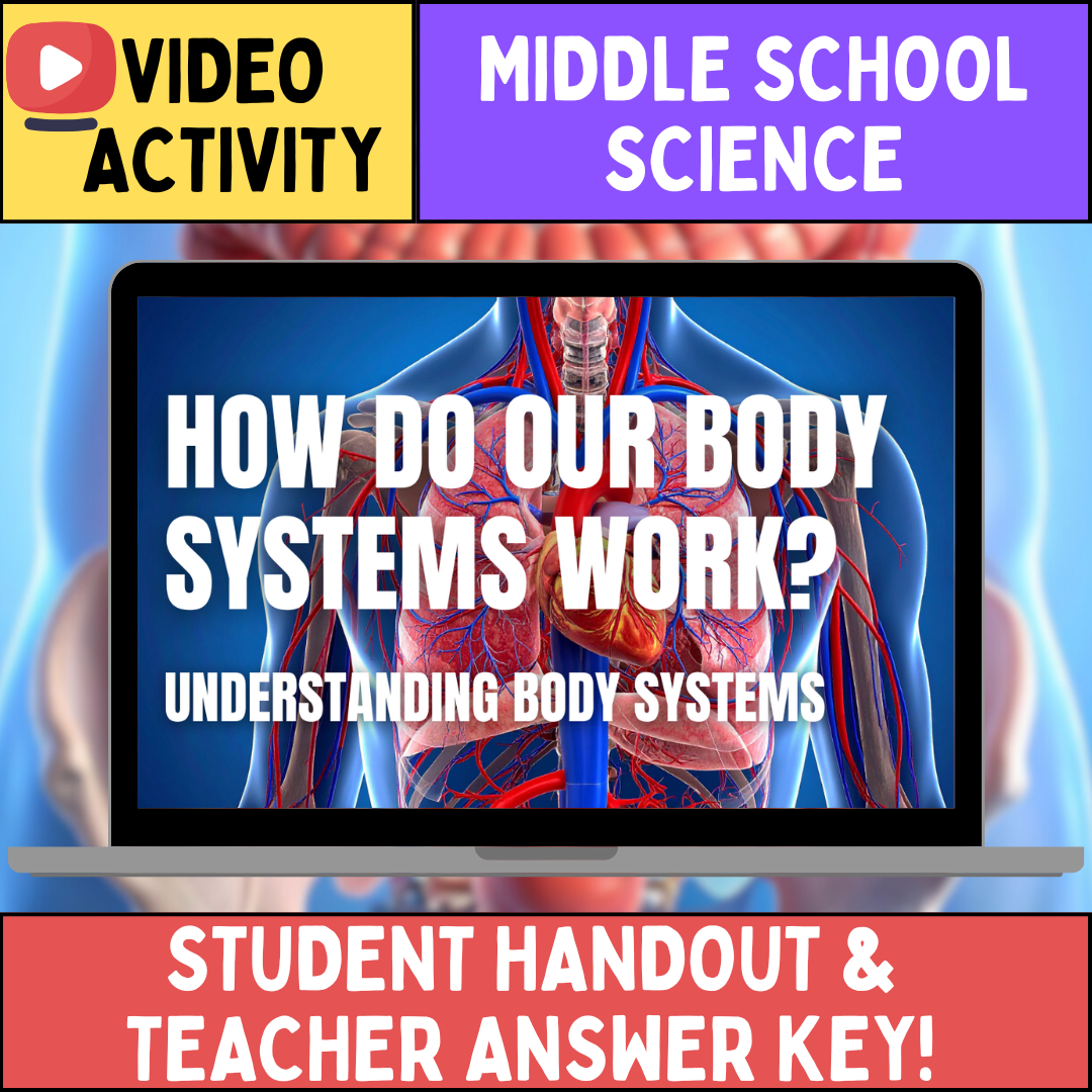 Body Systems - FREE Video Worksheet - Middle School Life Science & Biology