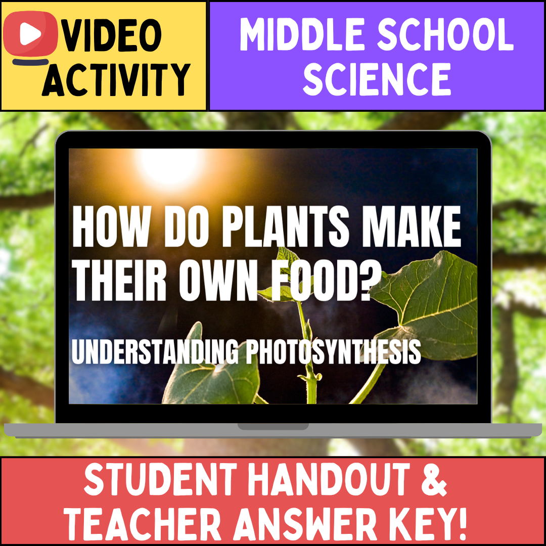 Photosynthesis - FREE Video Worksheet - Middle School Life Science