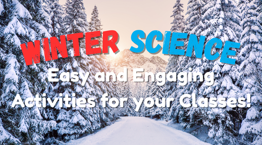 Winter Science CER Activities | Reindeer, Hibernation, & More - Science Ideas for 2025