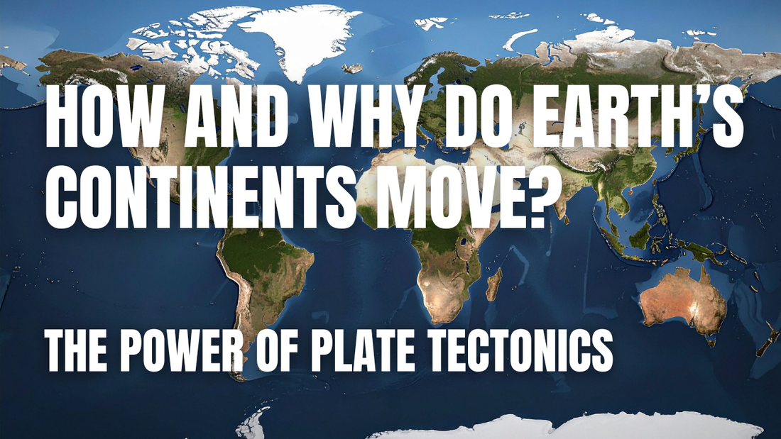 FREE Plate Tectonics Video Worksheet | Middle School Science