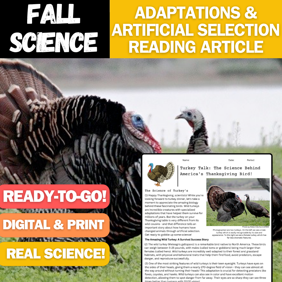 Turkey Adaptations Reading Article - Fall Science - Perfect for Thanksgiving!