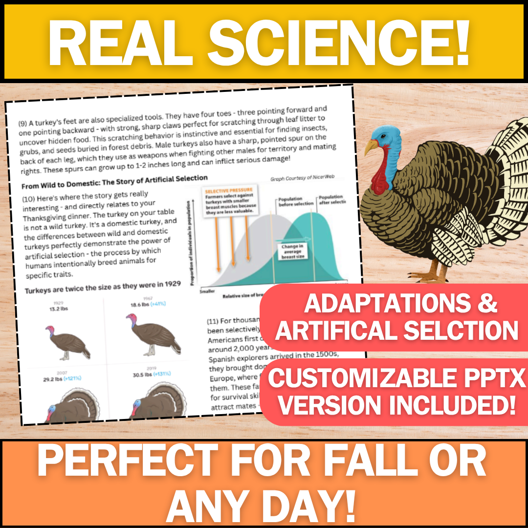 Turkey Adaptations Reading Article - Fall Science - Perfect for Thanksgiving!