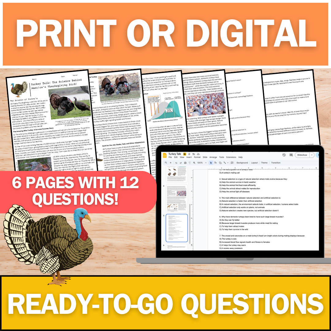 Turkey Adaptations Reading Article - Fall Science - Perfect for Thanksgiving!