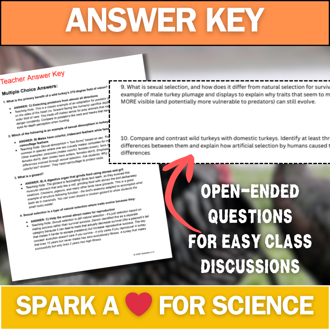 Turkey Adaptations Reading Article - Fall Science - Perfect for Thanksgiving!
