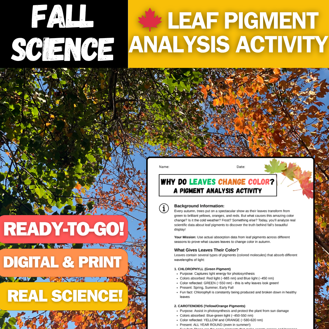 Leaf Pigment Analysis & CER Activity - Fall Science - Perfect for Thanksgiving!