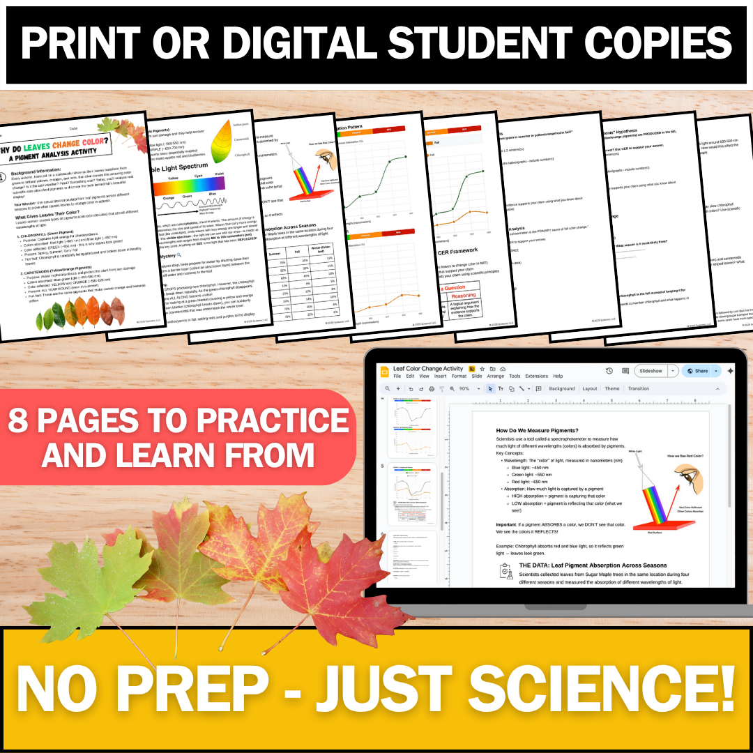 Leaf Pigment Analysis & CER Activity - Fall Science - Perfect for Thanksgiving!