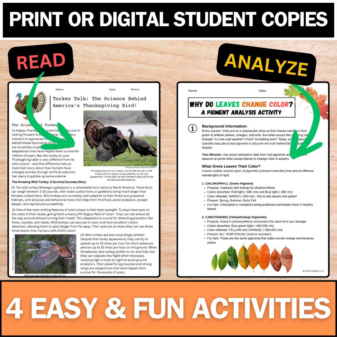 Fall Science Bundle - Biology, Chemistry, & Physics - Thanksgiving Activities