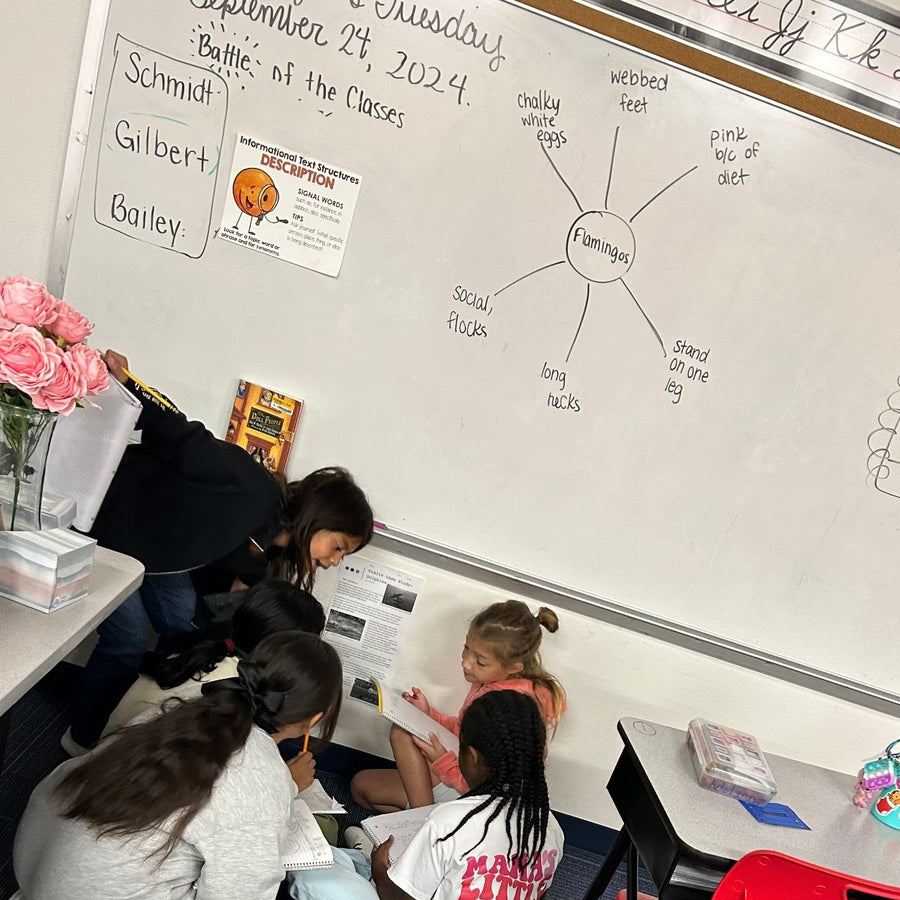 4th-graders investigating flamingos from A-Z Biology. Fun discussions and super engaged students!