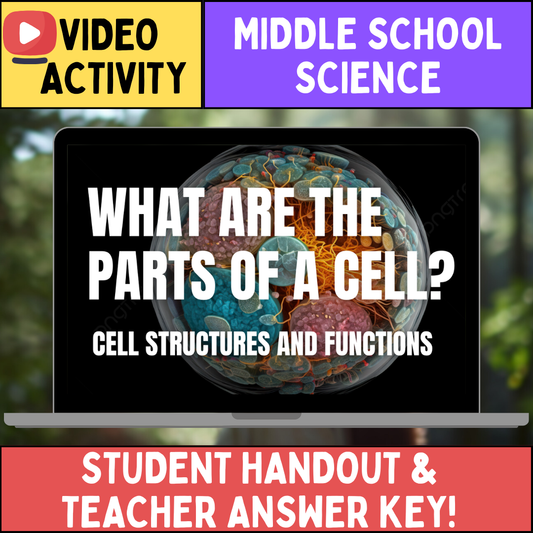 Cell Structures and Functions: Understanding Organelles and Their Functions | Middle School Science