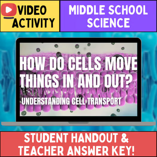 Cell Transport & Movement - FREE Video Worksheet - Middle School Life Science