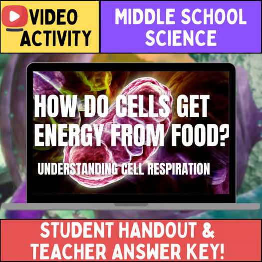 Cellular Respiration - FREE Video Worksheet - Middle School Life Science