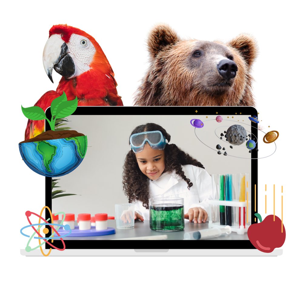 Sciesmic - Engaging K12 Science