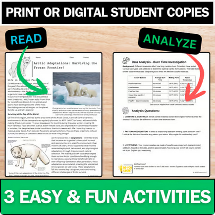 Winter Science Bundle - Biology, Chemistry, & Physics - Labs, Reading, & More!