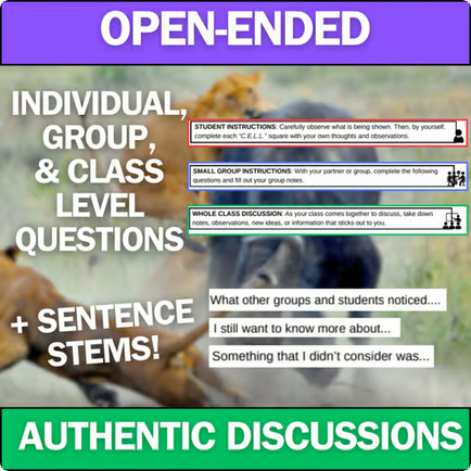 Predator-Prey Relationships - Engaging Anchoring Phenomena Activity