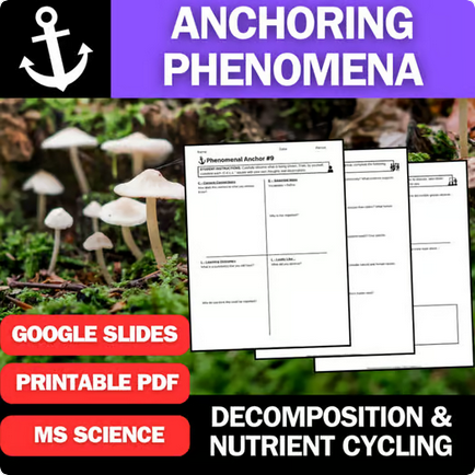 Decomposition and Nutrient Cycling - Engaging Anchoring Phenomena Activity