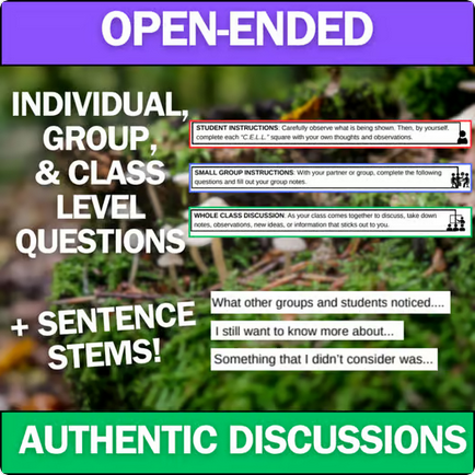 Decomposition and Nutrient Cycling - Engaging Anchoring Phenomena Activity