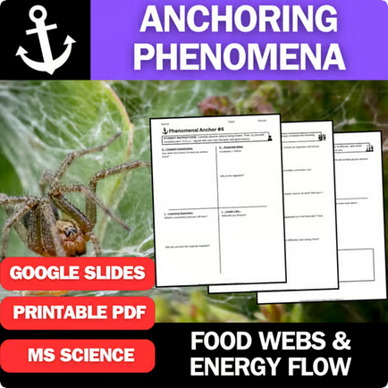 Food Webs and Energy Flow - Engaging Anchoring Phenomena Activity