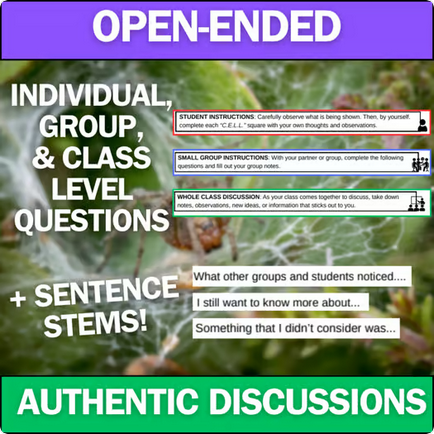 Food Webs and Energy Flow - Engaging Anchoring Phenomena Activity