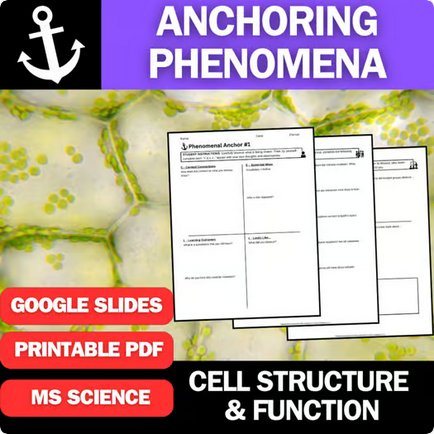 Cell Structure & Function - Engaging Anchoring Phenomena Activity