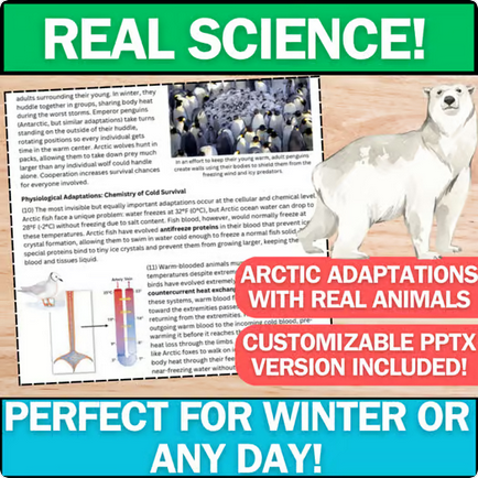 Arctic Adaptations Research Project & Reading Article - Everyday Winter Science