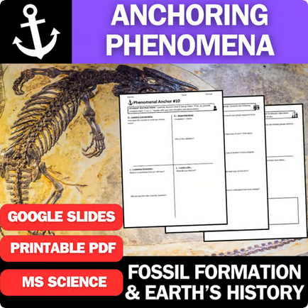 Fossil Formation and Earth's History - Engaging Anchoring Phenomena Activity
