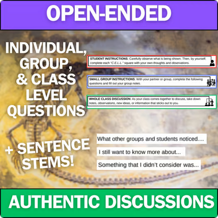 Fossil Formation and Earth's History - Engaging Anchoring Phenomena Activity
