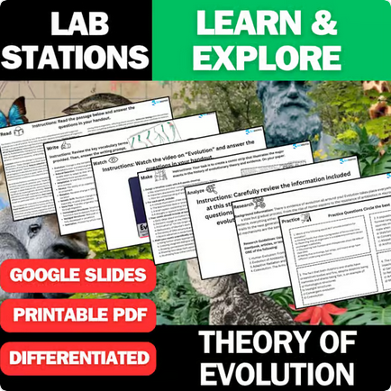 Theory of Evolution - Student Lab Stations Activity - Biology & Life Science