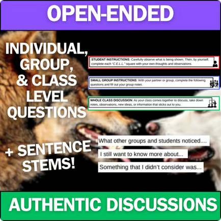 Selective Breeding and Artificial Selection - Unit Anchoring Phenomena Activity