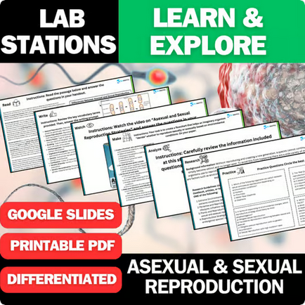 Asexual & Sexual Reproduction - Student Lab Stations Activity - Biology