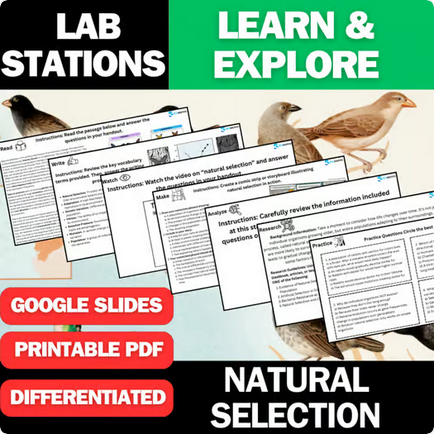 Natural Selection - Student Lab Stations Activity - Biology & Life Science