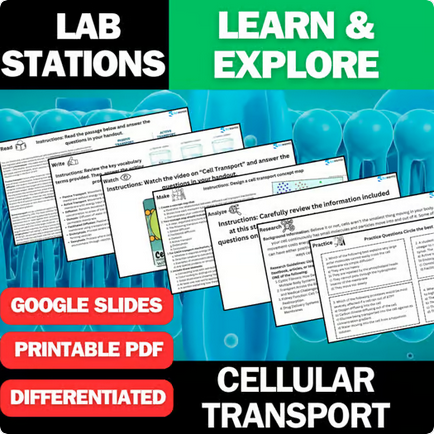 Cell Transport - Student Lab Stations Activity - Biology & Life Science