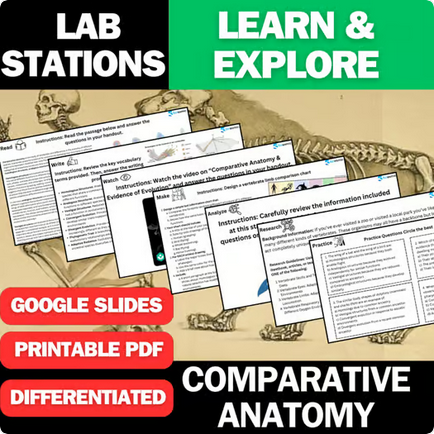 Comparative Anatomy - Student Lab Stations Activity - Biology & Life Science