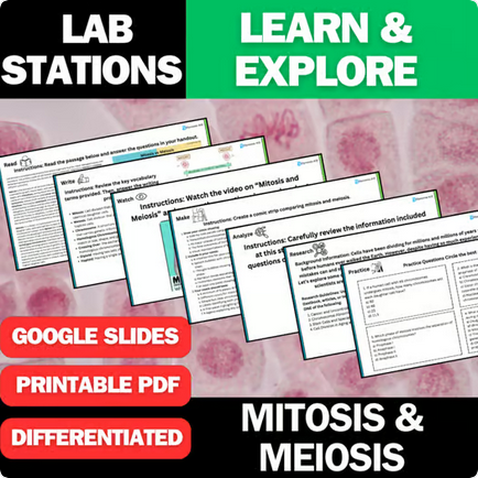 Mitosis and Meiosis - Student Lab Stations Activity - Biology & Life Science