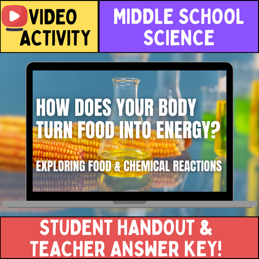 Food and Chemical Reactions - FREE Video Worksheet - Middle School Science