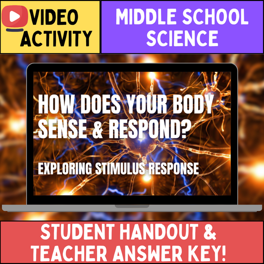 Stimulus Response - FREE Video Worksheet - Middle School Science