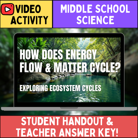 Cycling Matter & Flow of Energy - FREE Video Worksheet - Middle School Science