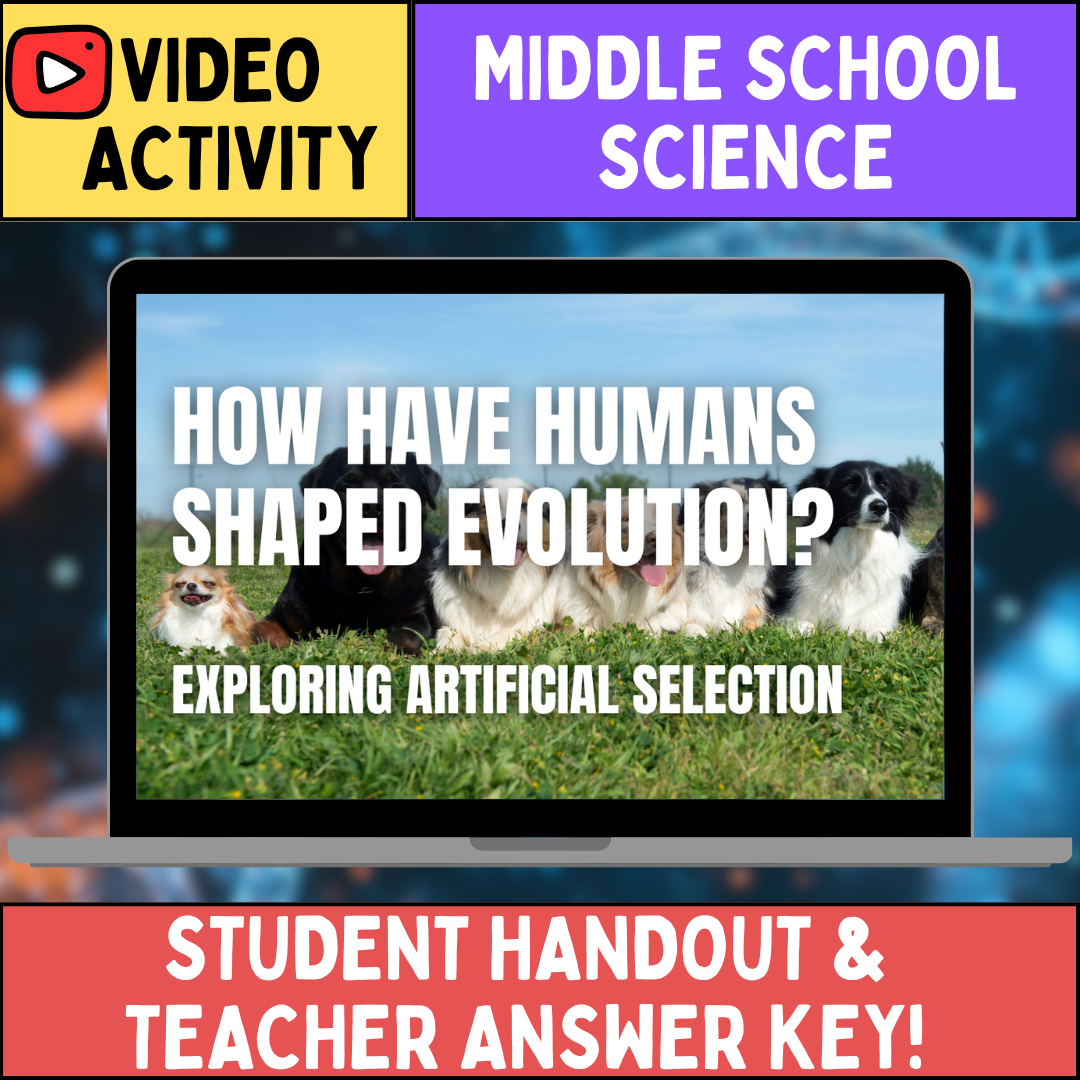Artificial Selection - FREE Video Worksheet - Middle School Science