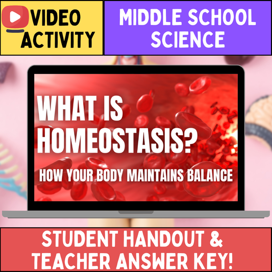 Homeostasis - FREE Video Worksheet - Middle School Life Science