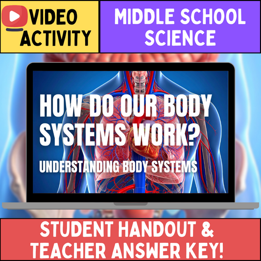 Body Systems - FREE Video Worksheet - Middle School Life Science & Biology
