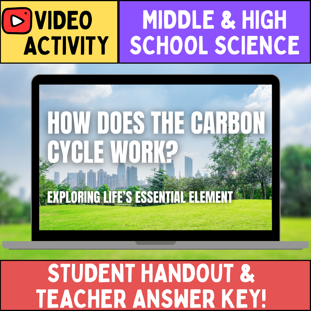 The Carbon Cycle - FREE Video Worksheet - How Life's Essential Element Moves