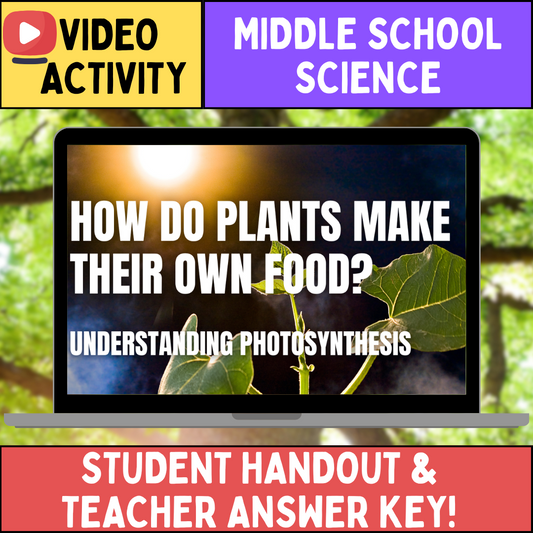 Photosynthesis - FREE Video Worksheet - Middle School Life Science
